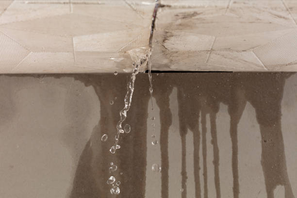 Professional Water Damage Restoration technician working in Alton, IA